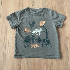 Peek | Olive Green Glacier National Park Wild Animal T-Shirt Size 18-24M